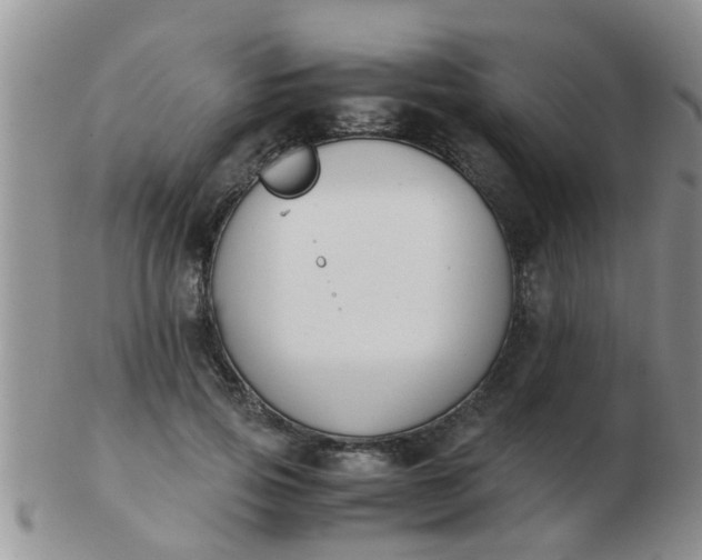 X0000103310741200809122051