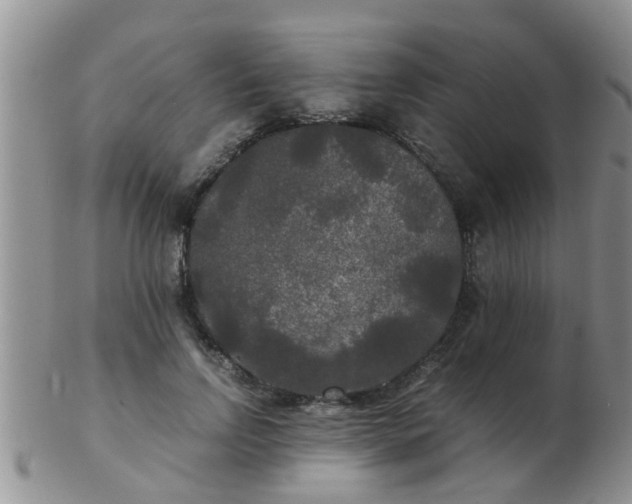 X0000103310742200809122051