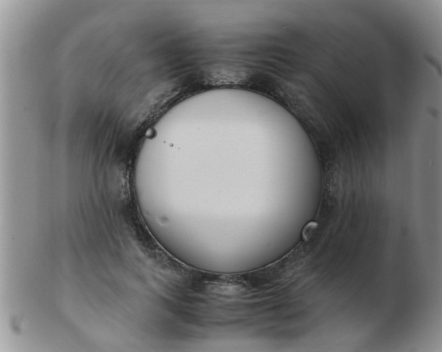 X0000103310743200809122051