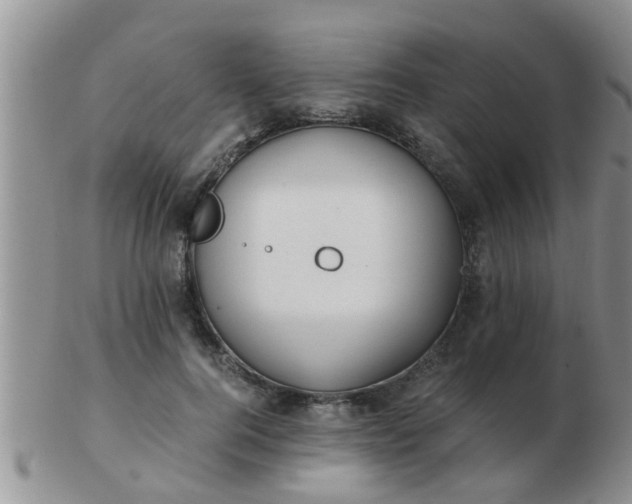 X0000103310744200809122051
