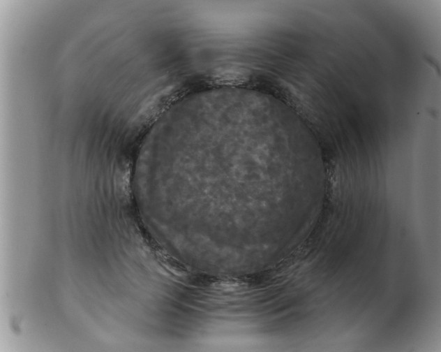 X0000103310745200809122051