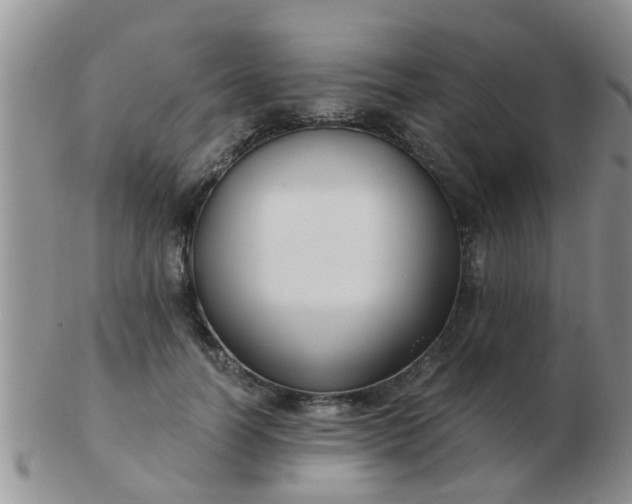 X0000103310746200809122051