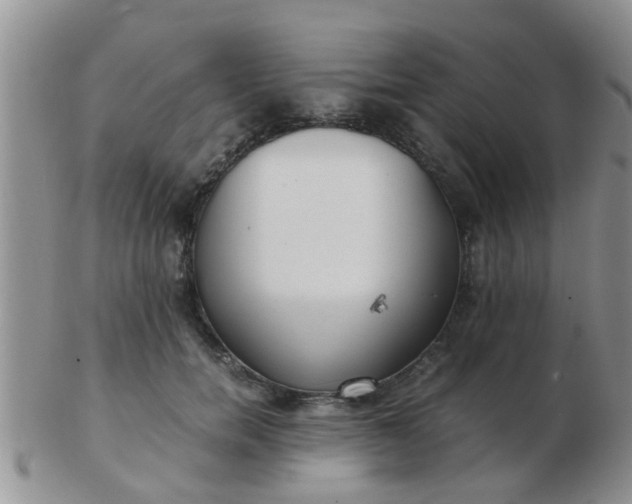 X0000103310750200809122051