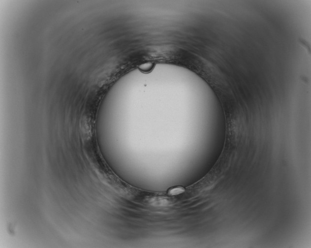 X0000103310751200809122051