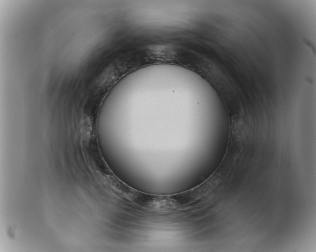 X0000103310752200809122051