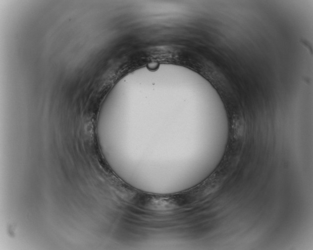X0000103310753200809122051