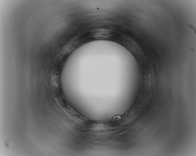 X0000103310755200809122051
