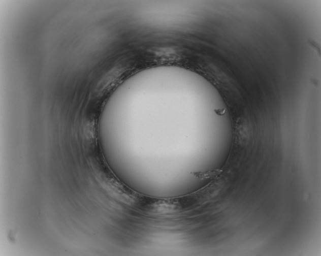 X0000103310756200809122051