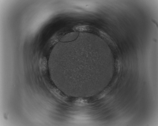 X0000103310760200809122051