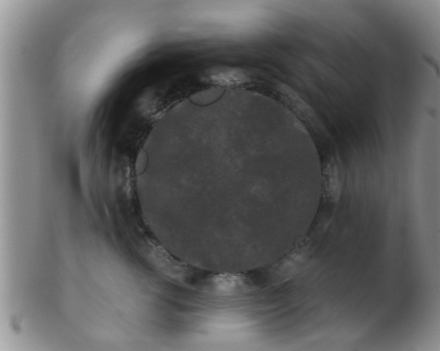 X0000103310762200809122051