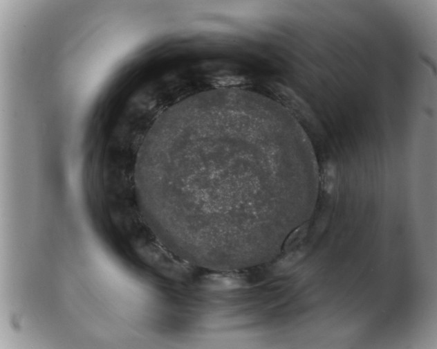 X0000103310763200809122051