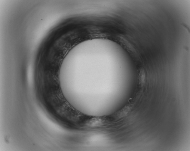 X0000103310764200809122051