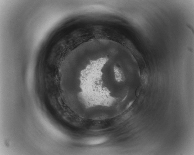 X0000103310765200809122051