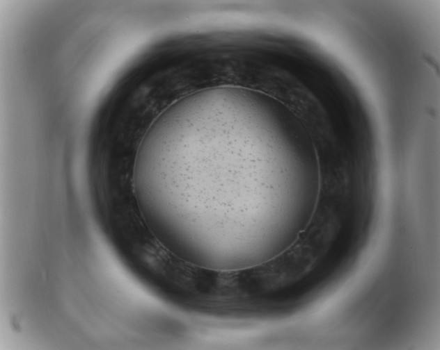 X0000103310766200809122051