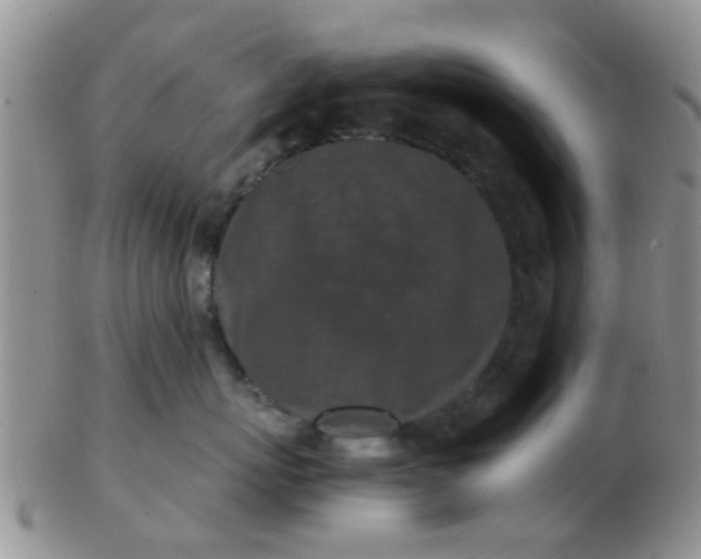 X0000103310767200809122051
