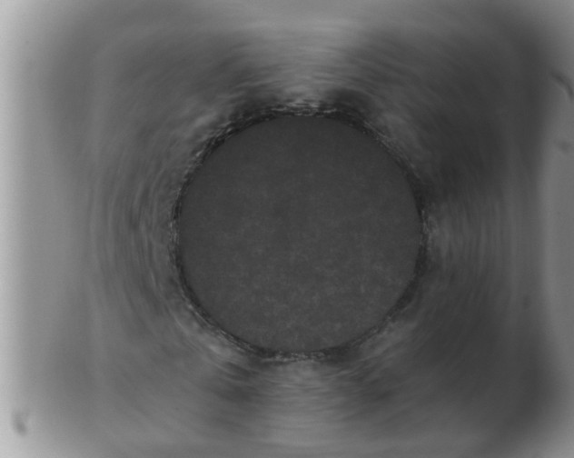 X0000103310769200809122051