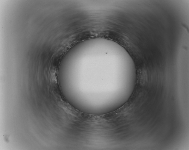X0000103310770200809122051