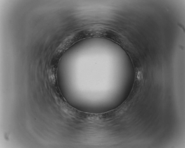 X0000103310771200809122051