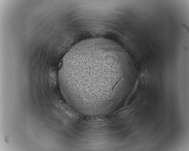X0000103310772200809122051