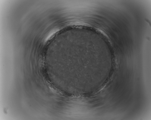X0000103310775200809122051