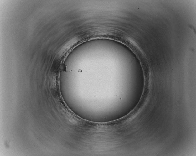 X0000103310777200809122051