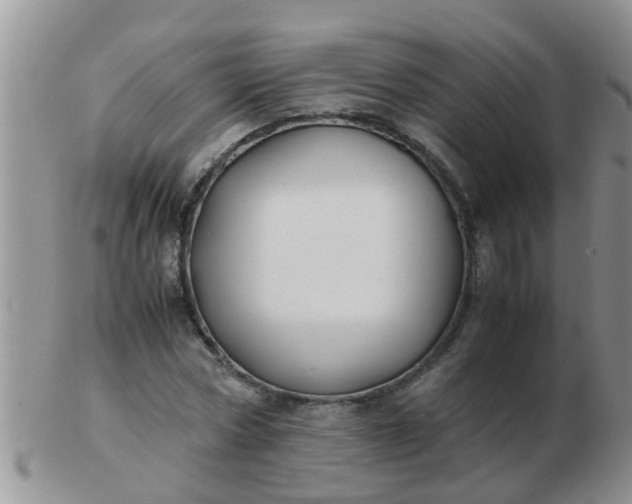 X0000103310778200809122051