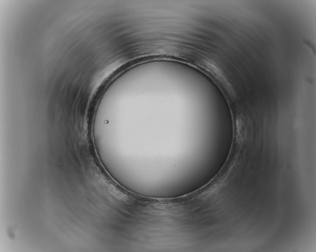 X0000103310780200809122050