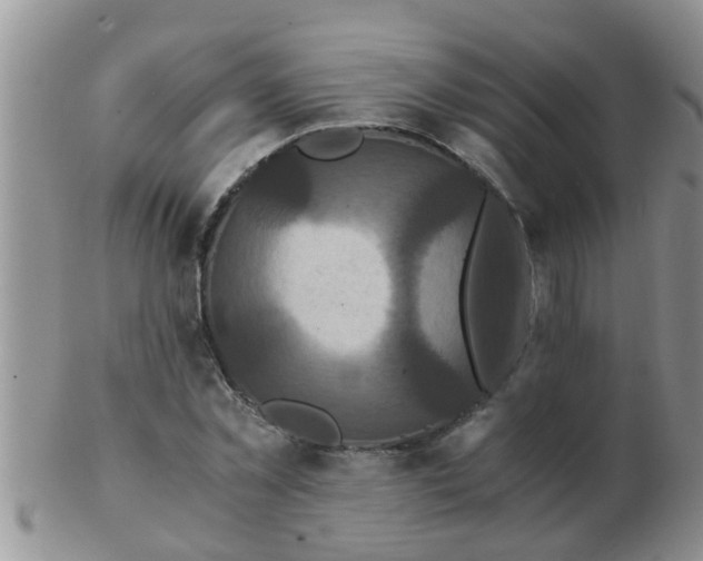 X0000103310781200809122050