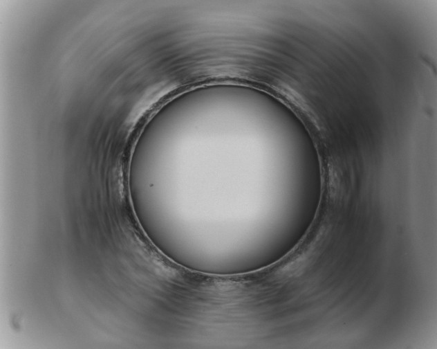 X0000103310782200809122050
