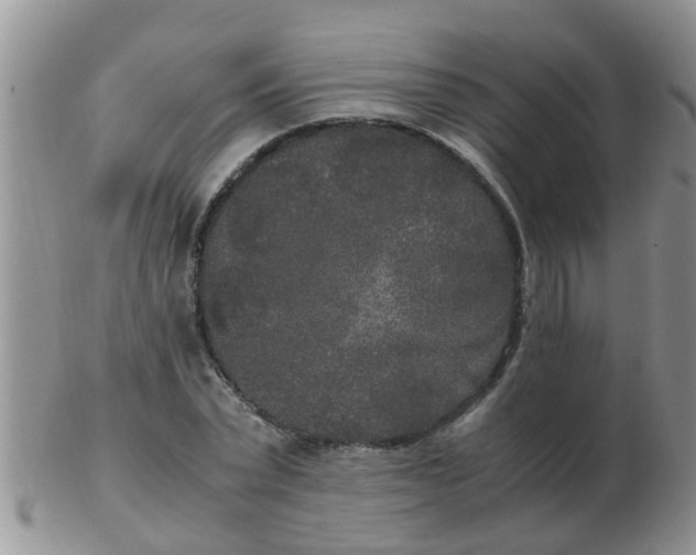 X0000103310783200809122050
