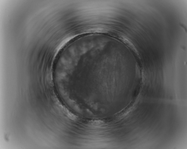 X0000103310784200809122050