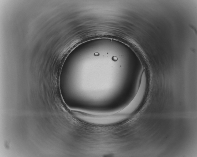 X0000103310785200809122050