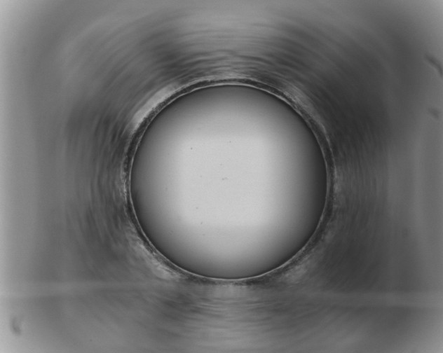 X0000103310789200809122050