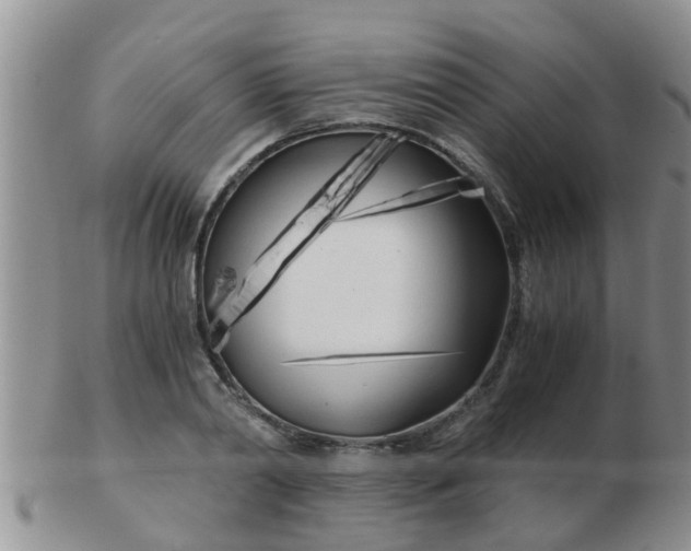 X0000103310790200809122050