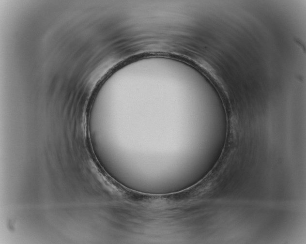 X0000103310791200809122050