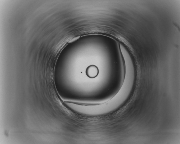 X0000103310793200809122050