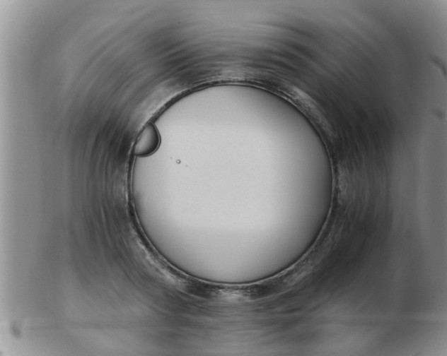 X0000103310794200809122050