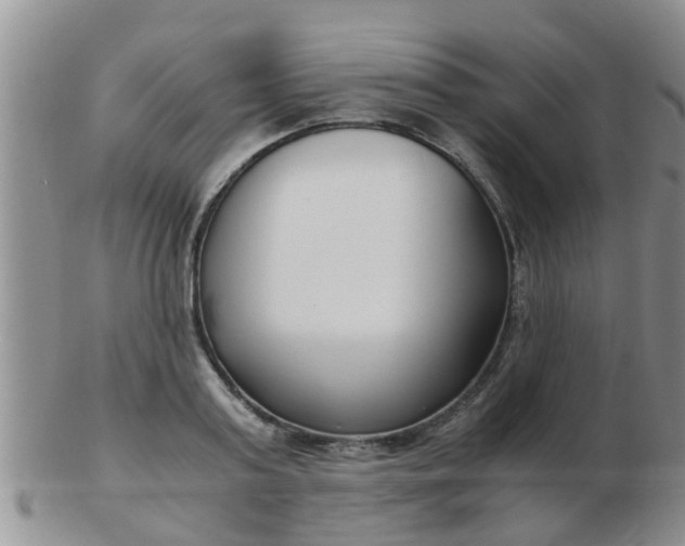 X0000103310795200809122050