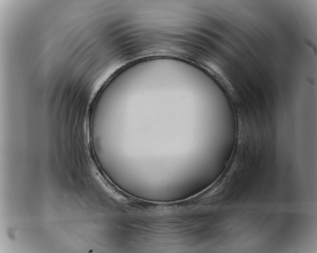 X0000103310796200809122050