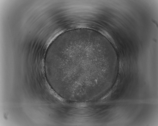 X0000103310798200809122050