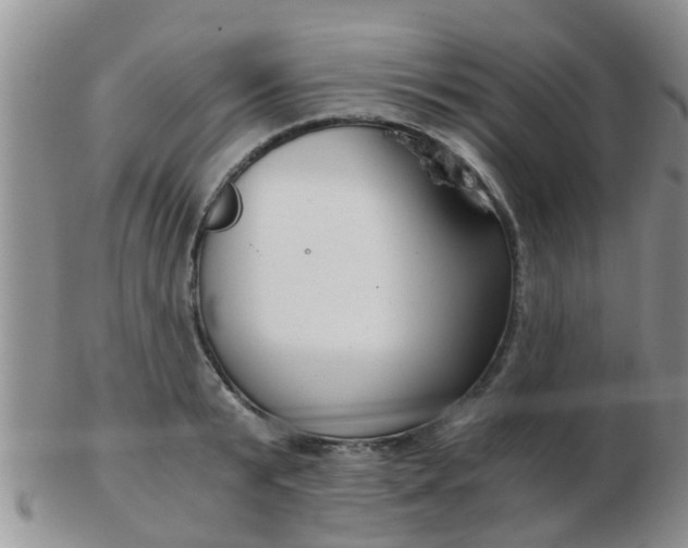 X0000103310799200809122050