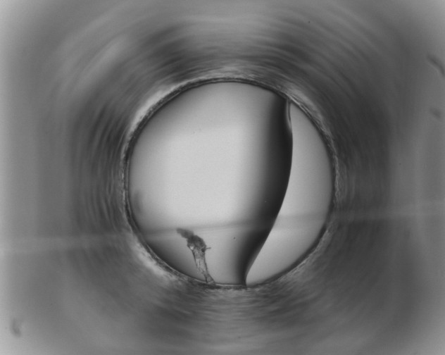 X0000103310800200809122050