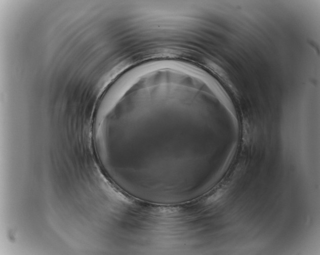X0000103310802200809122050