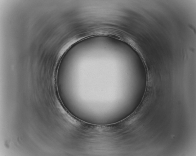 X0000103310803200809122050