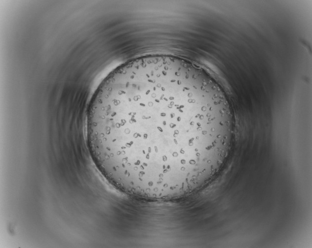 X0000103310804200809122050