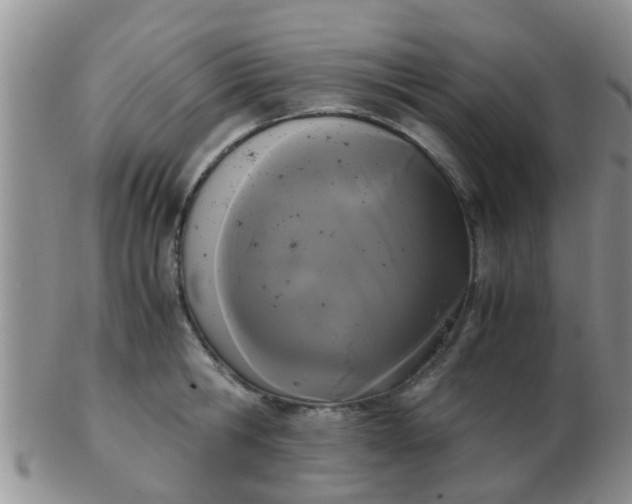 X0000103310806200809122050
