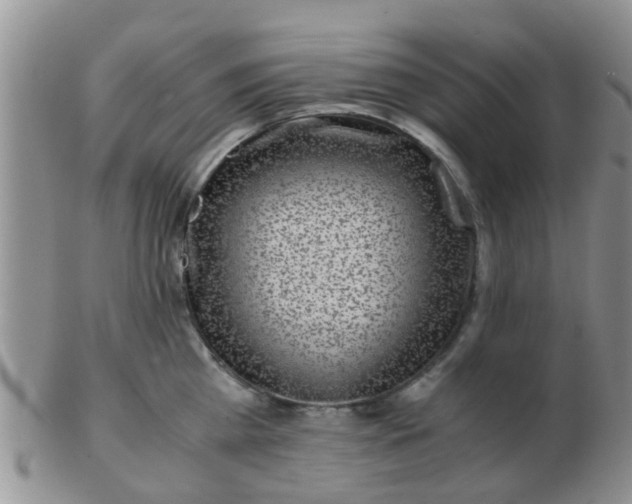 X0000103310809200809122050