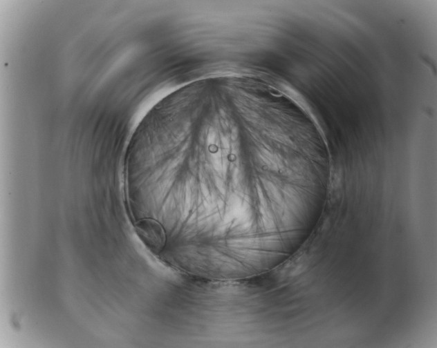 X0000103310811200809122050