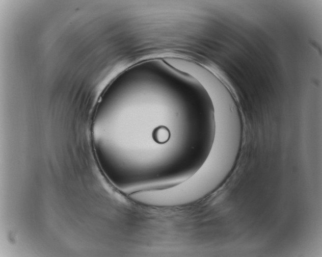 X0000103310813200809122050
