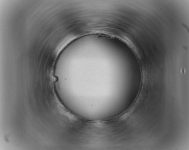X0000103310814200809122050